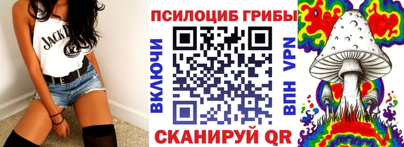 Псилоцибиновые грибы Psilocybe  цена   Новосиль 